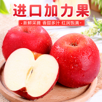 【西沛生鲜】新西兰进口gala加力苹果12粒装 单果140g-160g皇后甜脆苹果苹果应季新鲜水果富士阿克苏苹果