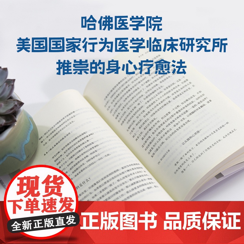 轻疗愈 15分钟快速减压 实现身心平衡 简单 迅速 有效舒缓常见的11种情绪困扰 亚马逊榜 已售30国版权 26位各界高清大图