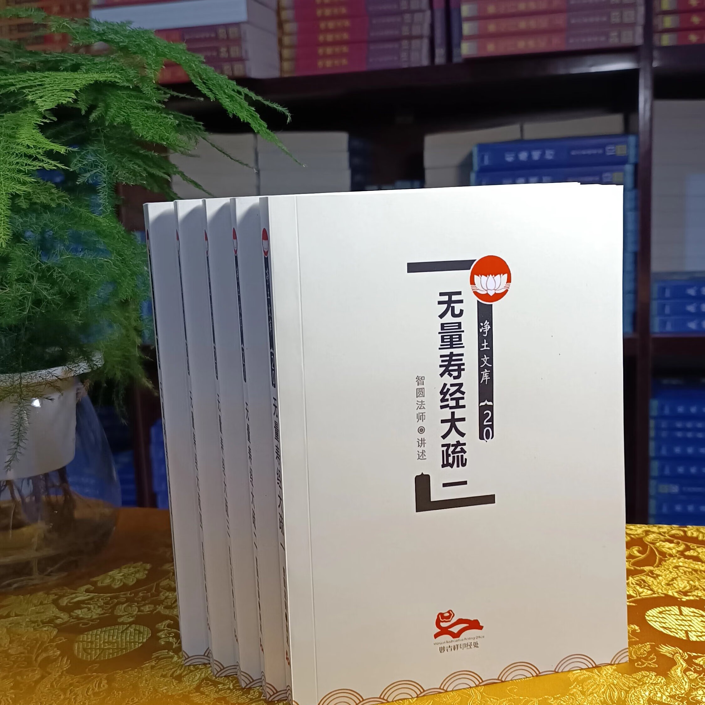 智圆法师讲述 净土文库 无量寿经大疏1-5册高清大图