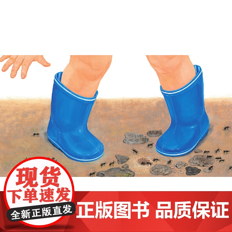 去散步 去散步 幼幼成长图画书纸板书益智启蒙儿童绘本适合0-3岁 少年儿童出版社小宝宝的大世界9册我们再一次跟着这双自由高清大图