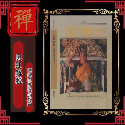 见即解脱（尊圣第十六世大宝法王噶玛巴传记与教言）