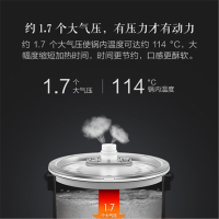 小米米家智能调压电压力锅5L 智能调压 不粘涂层易清洗 中途开盖 OLED触控 APP智能互联电饭煲