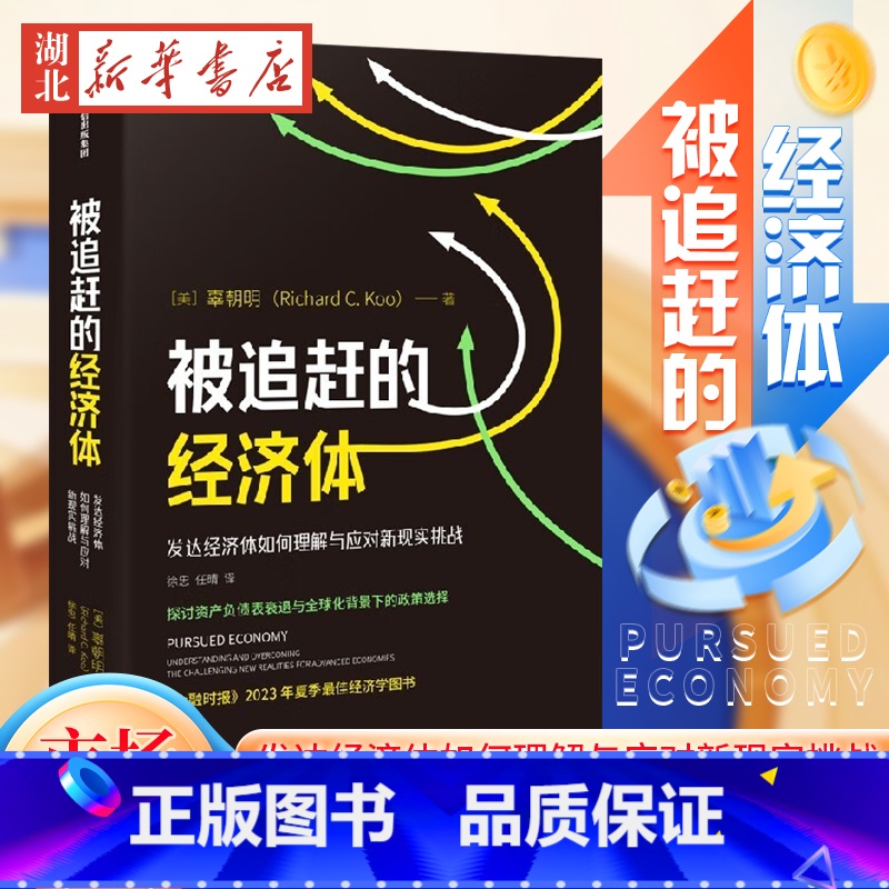 【正版】被追赶的经济体 辜朝明新作 探讨资产负债表衰退与全球化背景下的政策选择 金融时报2023年夏季经济学图书 市场