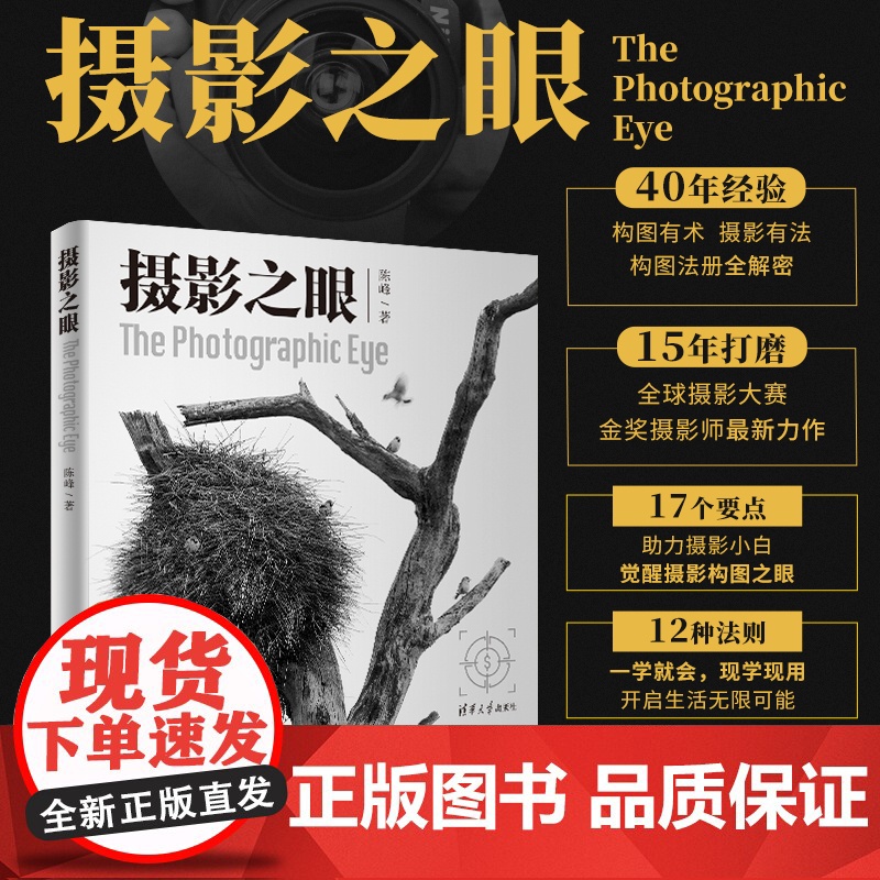 摄影之眼 构图有术 摄影有法 构图法册全解密 5年打磨:全球摄影大赛金奖摄影师力作 现代艺术摄影理论正版书清华大学出版社高清大图