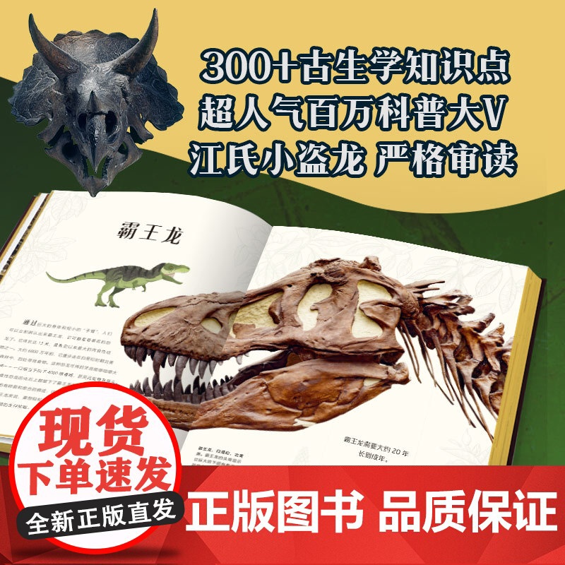 DK远古生物大发现 安苏亚钦萨米图兰著 超人气科普大V江氏小盗龙审校 值得珍藏的古生物大书 中信出版社图书正版高清大图