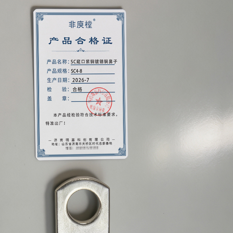 非庾樘 SC窥口紫铜镀锡铜鼻子 SC4-8 个高清大图