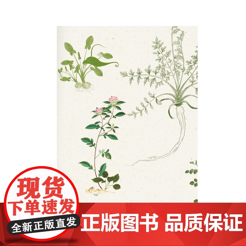 纯粹· 人间百草 田炳信/著(一部文学经典和药学典籍诠释性作品) 中国医药学 广西师范大学出版社高清大图