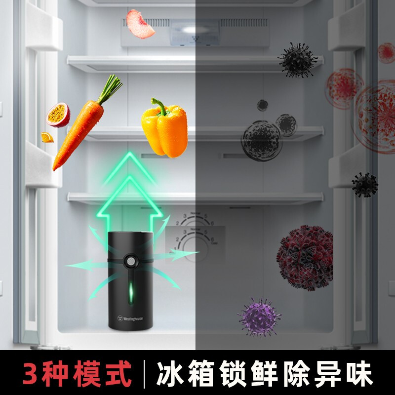 Westinghouse除味仪杀菌仪WAF-01高清大图