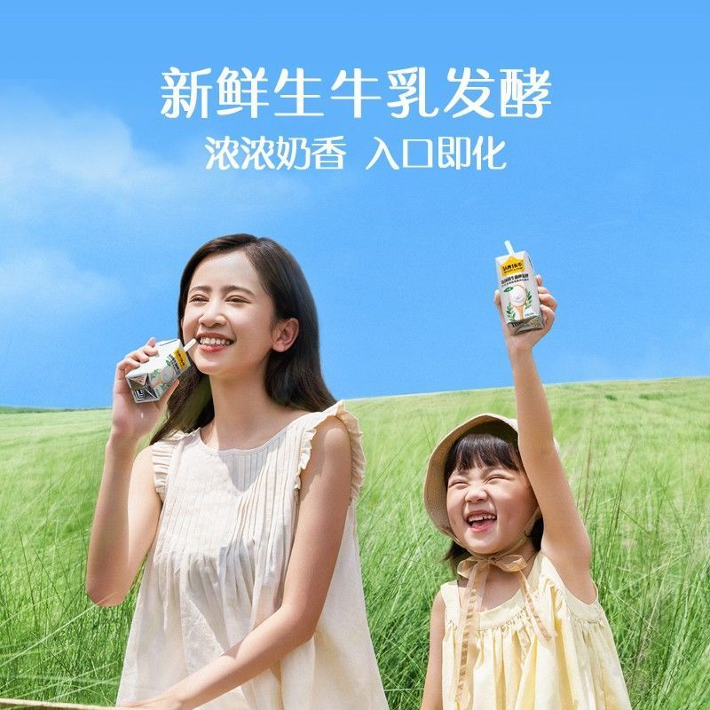 认养一头牛 常温原味法式酸牛奶 200g*12盒*2箱 生牛乳发酵