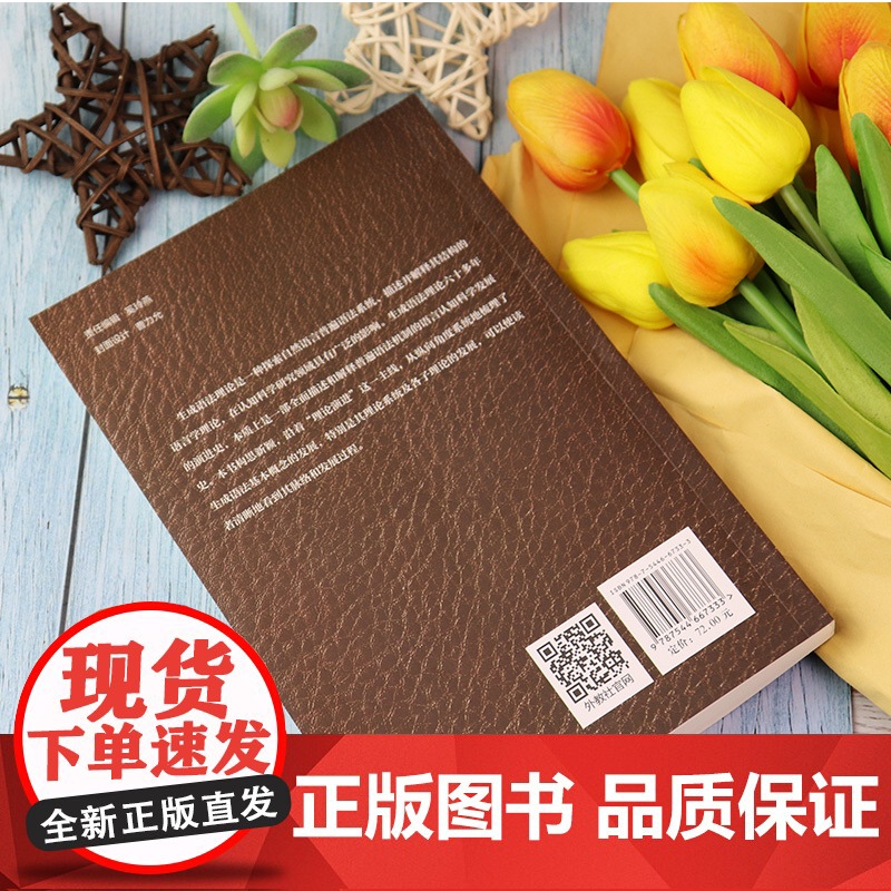 正版 生成语法理论演进研究 梅德明编 上海外语教育出版社 9787544667333高清大图