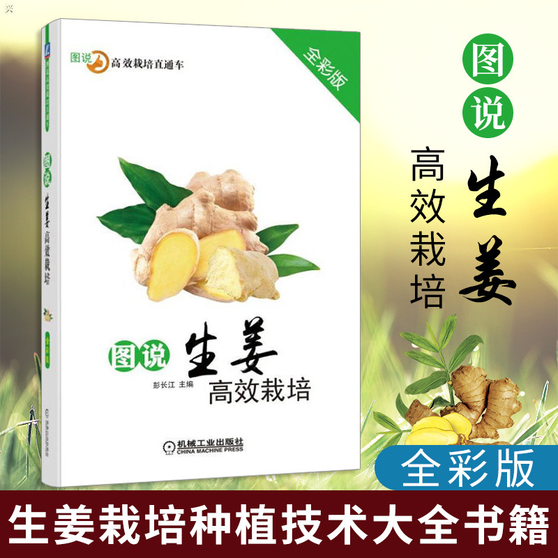 图说生姜高效栽培全彩版农业林业农作物生姜栽培种植技术大全书籍高产优质生姜种植书病虫害防治技术科学育种繁报价 参数 图片 视频 怎么样 问答 苏宁易购