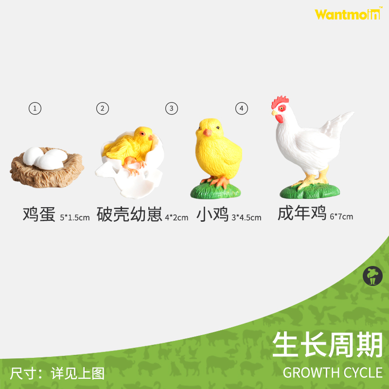 蝴蝶生长周期| 4只装 儿童仿真动物模型生长过程生命周期科教玩具蜘蛛瓢虫蜜蜂青蛙蝴蝶