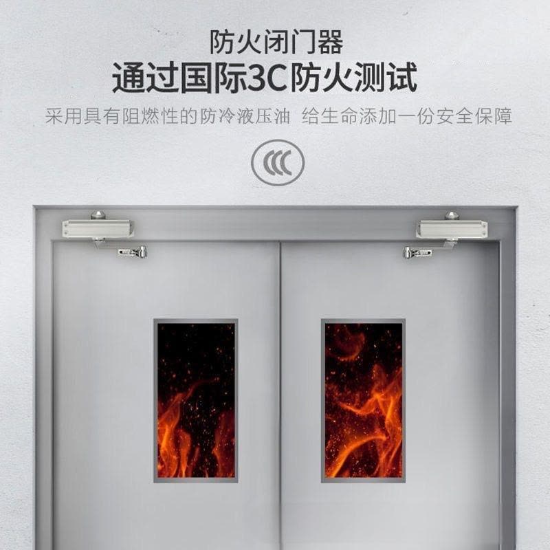 水龙珠(SHUILONGZHU)防火门闭门器消防门自缓冲静音闭门器 [中号自动]带反装片图片