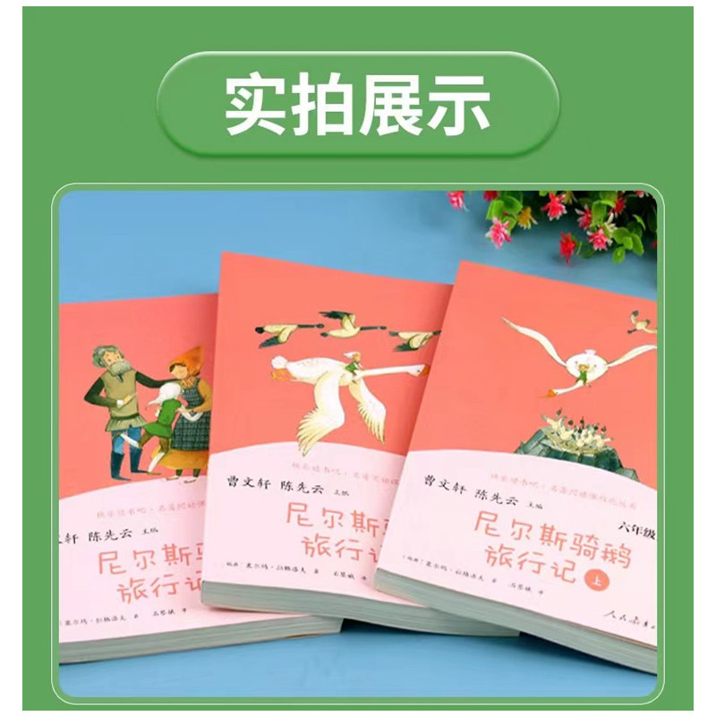 汤姆索亚历险记(下册) 小学通用 [正版]人教版快乐读书吧6六年级上下册汤姆索亚历险记童年爱的教育小英雄雨来爱丽丝漫游奇