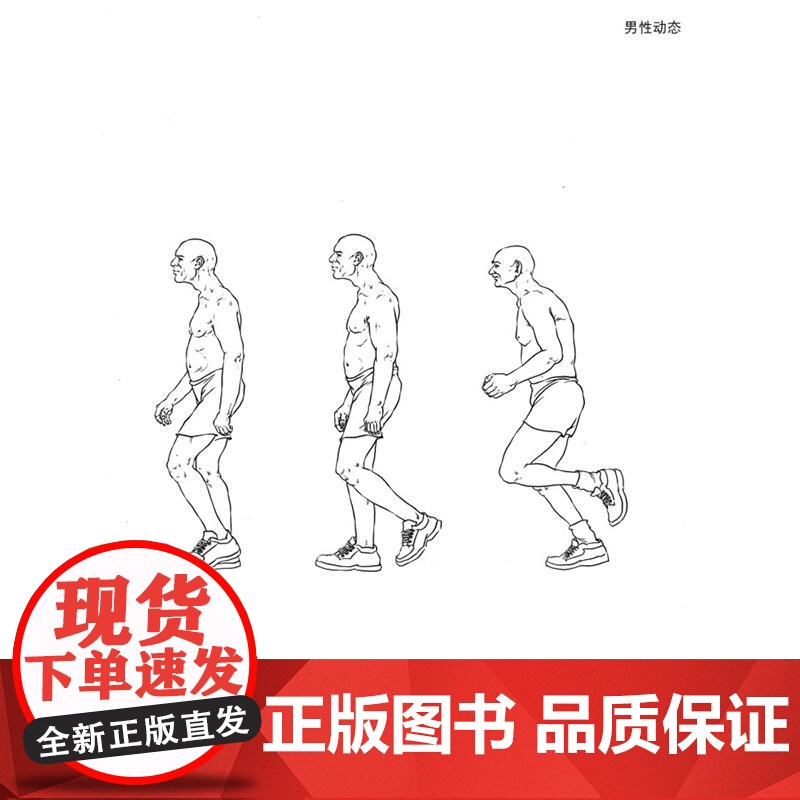 人体速写动态大全 一本绘画初学者参考手册 人物动作绘制临摹 线描动态人物场景对照人物 速写书籍 美术绘画书籍 人体素描书高清大图