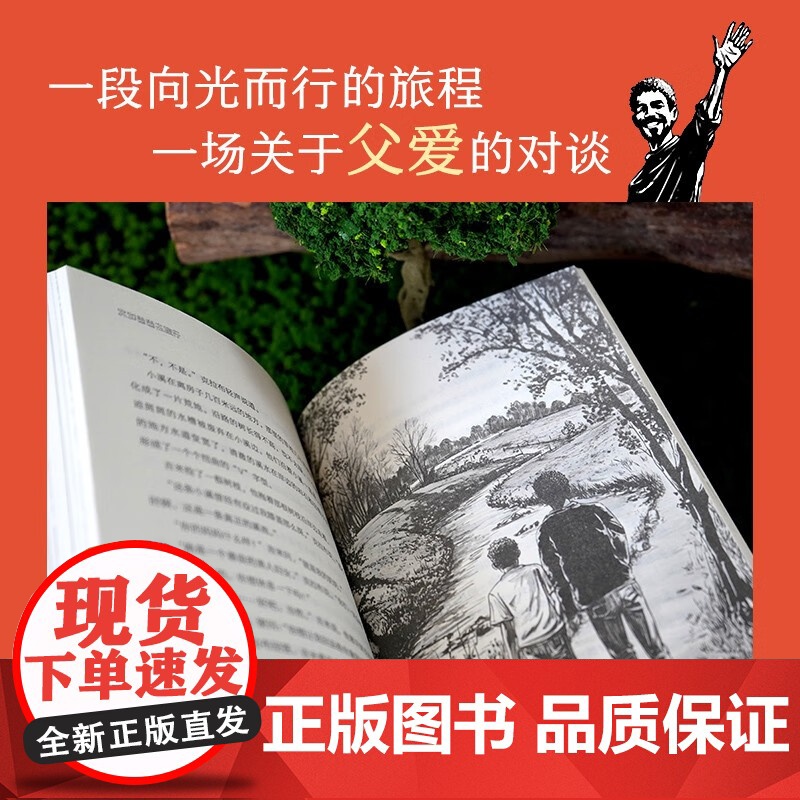 长青藤国际大奖小说书系 第十八辑 我和爸爸去旅行 10-14岁 沃尔特·迪恩·迈尔斯 著 儿童文学高清大图