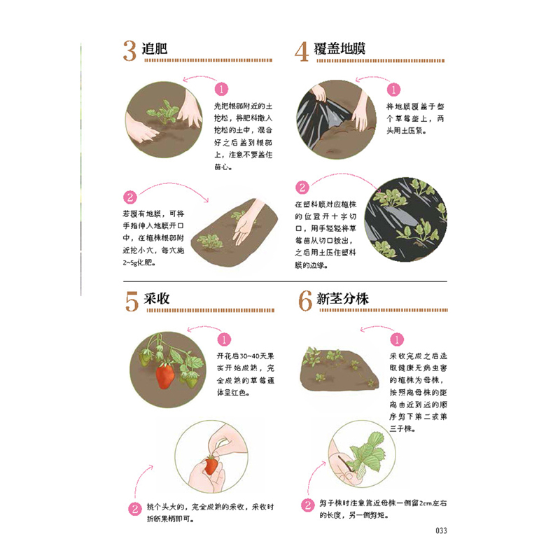 [正版]手把手教你种蔬菜 种菜栽培实用手册蔬菜种植技术私家菜园宝典书高清大图