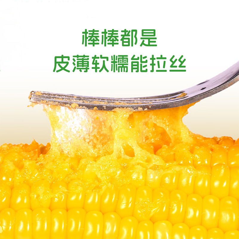 燕之坊玉米礼盒颗粒饱满香味浓郁鲜嫩清甜软糯皮薄有机款1.9kg高清大图