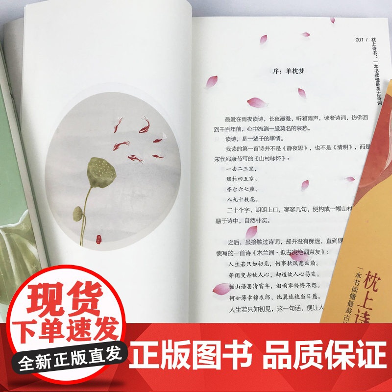 枕上诗书系列全套共四册正版中国诗词大会经典古诗词鉴赏李清照苏轼渔歌子唐诗宋词书彩图附带插画唯美名家国画诗词歌赋高清大图