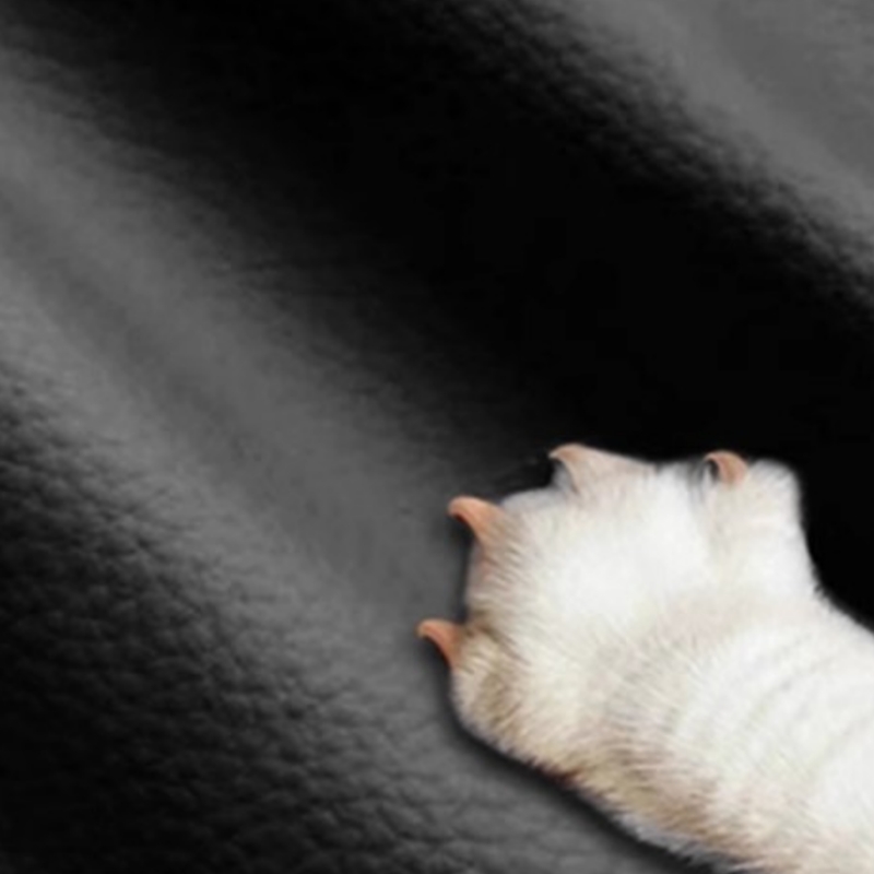 伟樽办公沙发单人位102*81*87cm张高清大图