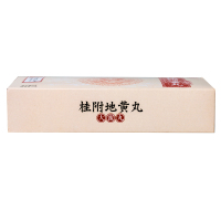 同仁堂 桂附地黄丸 9克*10丸