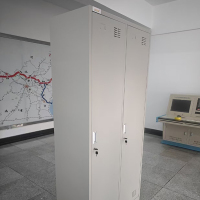 圣德列 更衣柜宿舍柜子2门 900*500*2000mm/个