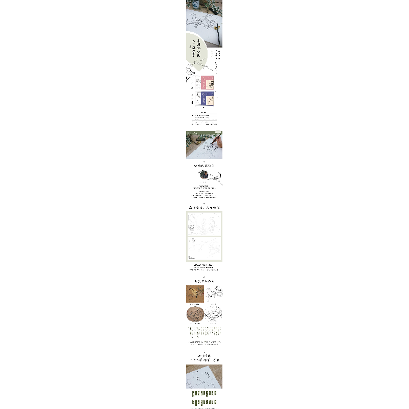 醉染图书中国画白描入门描摹本·花卉草木+禽鸟鱼虫9787571215439高清大图