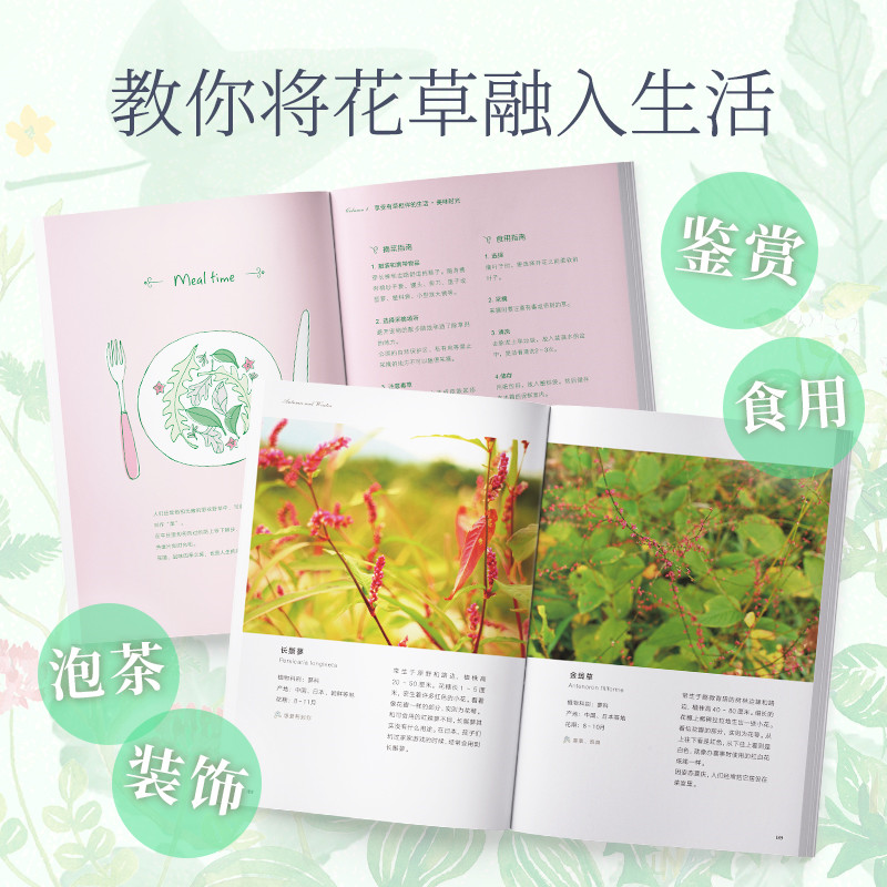 [醉染正版]花草时光-一草一天堂森乃乙书籍生活养花书江苏凤凰文艺出版社鉴赏食用泡茶装饰将花草融入生活治愈身心野花野草图鉴高清大图