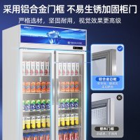 星星(XINGX)LSC-518Y 530升大容量双门冷藏展示柜 商用冰箱保鲜冷藏冰柜 玻璃门立式饮料柜