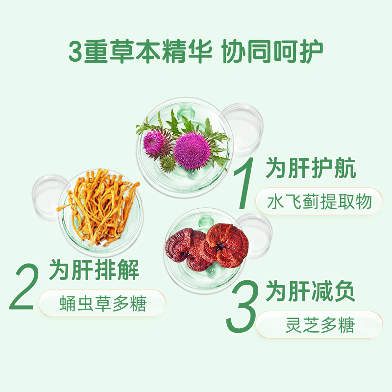 哈药蛹虫草灵芝水飞蓟胶囊30粒 奶蓟草护肝胶囊 增强免疫