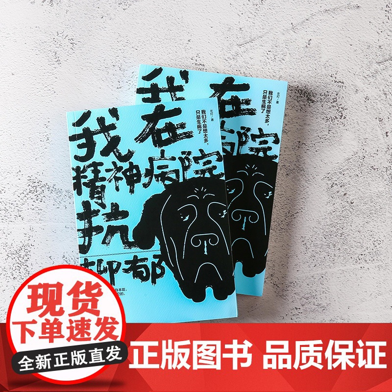 我在精神病院抗抑郁 左灯 著 长安十二时辰演员热依扎微博倾情 抑郁症版天才在左 疯子在右心理分析 中信出版社图书高清大图
