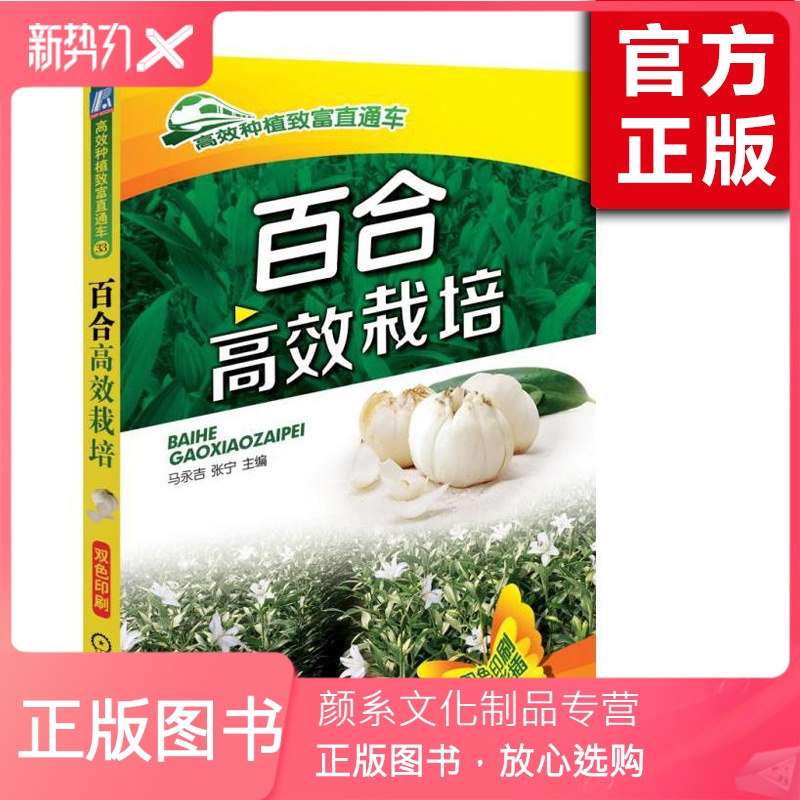 颜系图书 百合高效栽培食用大百合科学种植教程百合产品的贮藏与加工农业实用技术培训教材书百合fu1q2训 马永吉著 摘要书评在线阅读 苏宁易购图书