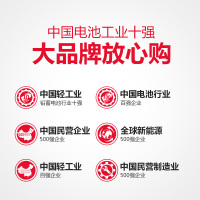[天能]电动车铅酸电池48V12AH/48V20AH/60V20AH72V电池集合链接