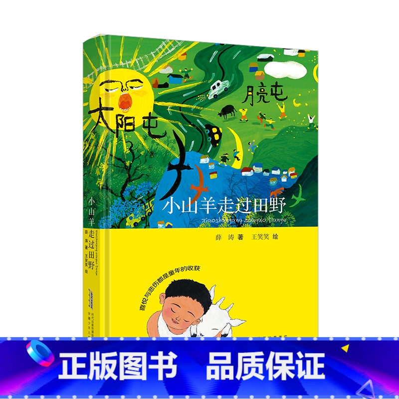 小山羊走过田野 【正版】2024年暑假读一本好书 红舞鞋星星点灯 吴洲星著校园成长孩子心灵长篇小说 小学生四五六年级适读