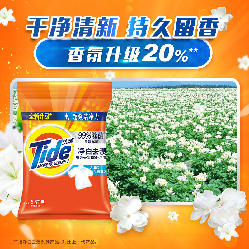 汰渍 净白去渍洗衣粉 5.5kg (单位:袋)高清大图