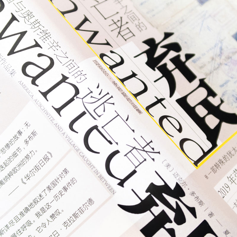 [醉染正版]弃民 美国与奥斯维辛之间的逃亡者 (美)迈克尔·多布斯 著 夏文钊 译 社会科学文献出版社高清大图