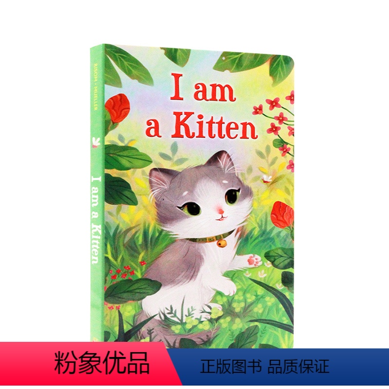 [正版]进口英文原版 I Am a Kitten 我是一只小猫 I am a bunny同系列richard scar