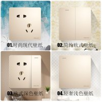 DELIXI德力西开关插座86型家用暗装墙壁单开双控1开5孔10A电源插座开关带插座一开五孔CD821香槟金