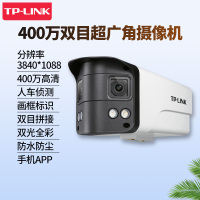 TP-LINK 400万双目超广角网络摄像机 TL-IPC544VEP-W2.8