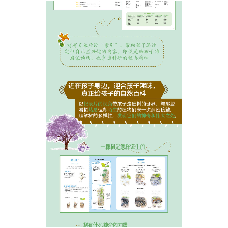 正版新书]手绘树百科:100多种你不知道的植物趣味百科[法]娜塔高清大图