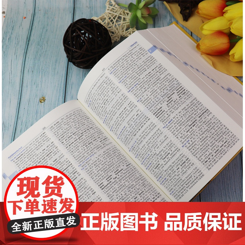 朗氏德语双解大词典朗式德汉德语自学入门教材德语字典朗氏德汉双解大词典德汉词典朗氏德语辞典德语单词朗氏字典中德词典德语词典高清大图