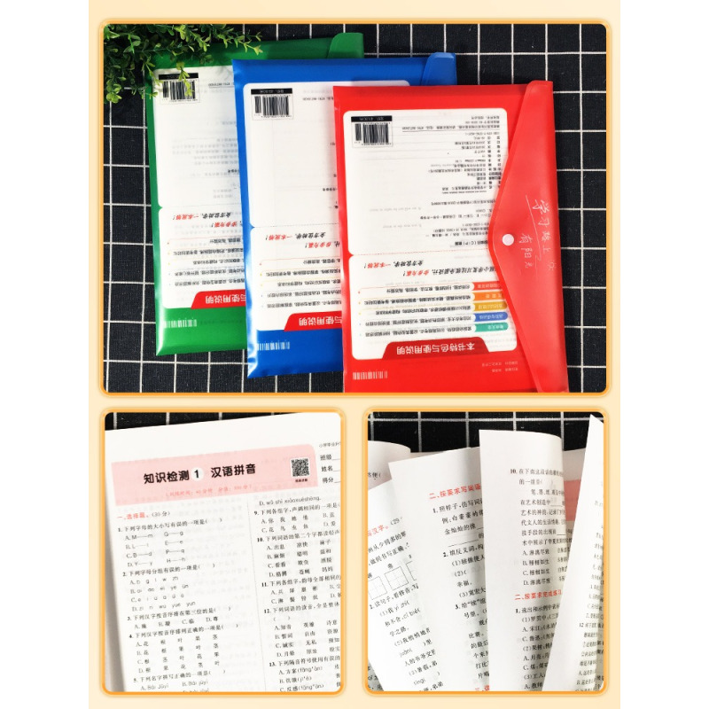 毕业总复习[语文+数学+英语]3本 小学通用 [正版]2024阳光同学小升初总复习语文数学英语科学人教版全国通用知识点强