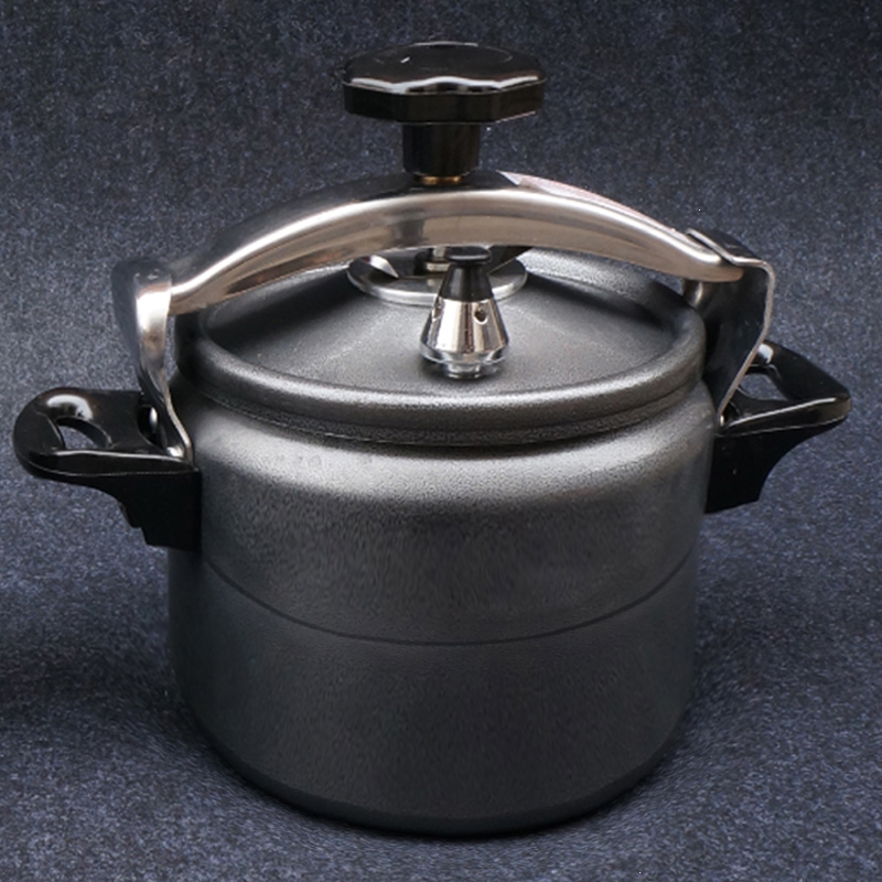 黄金蛋 电压力锅便携迷你压力锅露营户外煮饭高压锅高海拔装备自驾游