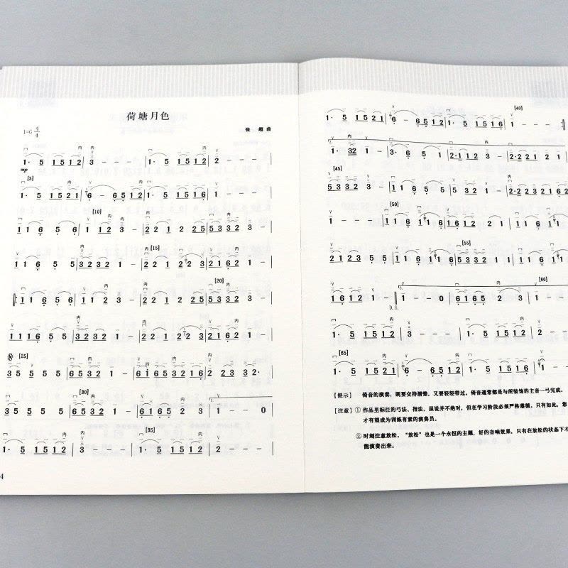 二胡曲谱经典老歌二胡演奏经典流行歌曲练习曲初学者入门乐谱书二胡入门