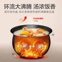 苏泊尔(SUPOR)电压力锅双胆球釜家用智能特有低温烹饪和发酵功能5L容量