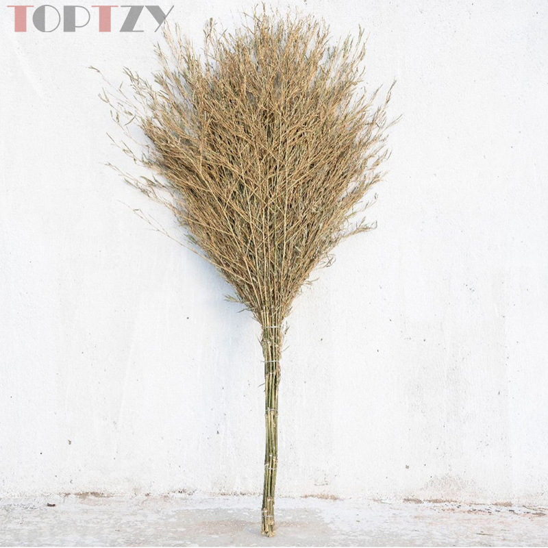 toptzy TZ5071822 竹扫把大扫把老式马路扫帚 4斤高清大图