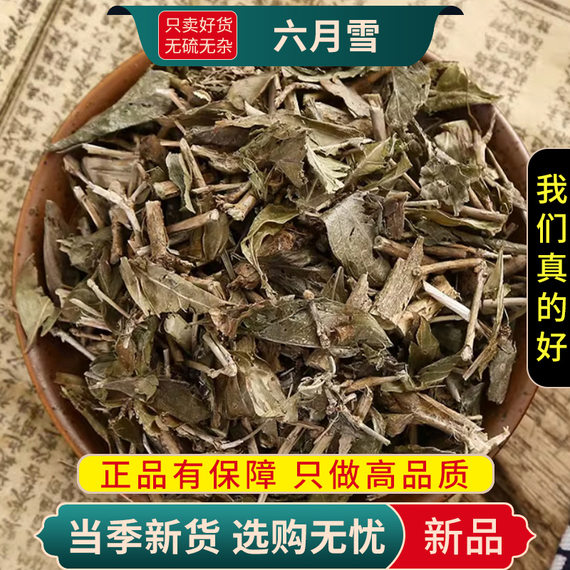 甄选六月雪100克正品货白马骨路边金满天星另售金银花9260高清大图