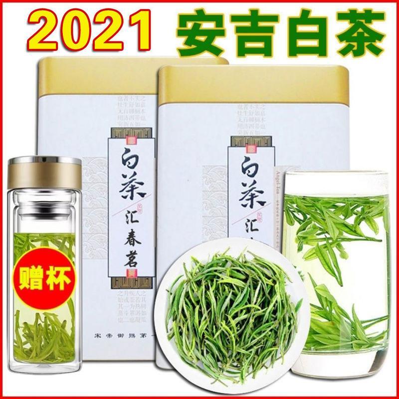 2021新茶安吉白茶[汇春茗]珍稀白茶春茶绿茶雨前特好茶叶250g 汇春茗白茶[一级]250克罐装