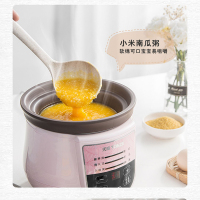 天际(TONZE)电炖锅1L 迷你BB粥 煲汤酸奶 宝宝营养辅食炖汤煲粥燕窝隔水炖盅陶瓷内胆智能DGD10-10EZWD