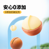 三只松鼠夏威夷果量贩袋装500g
